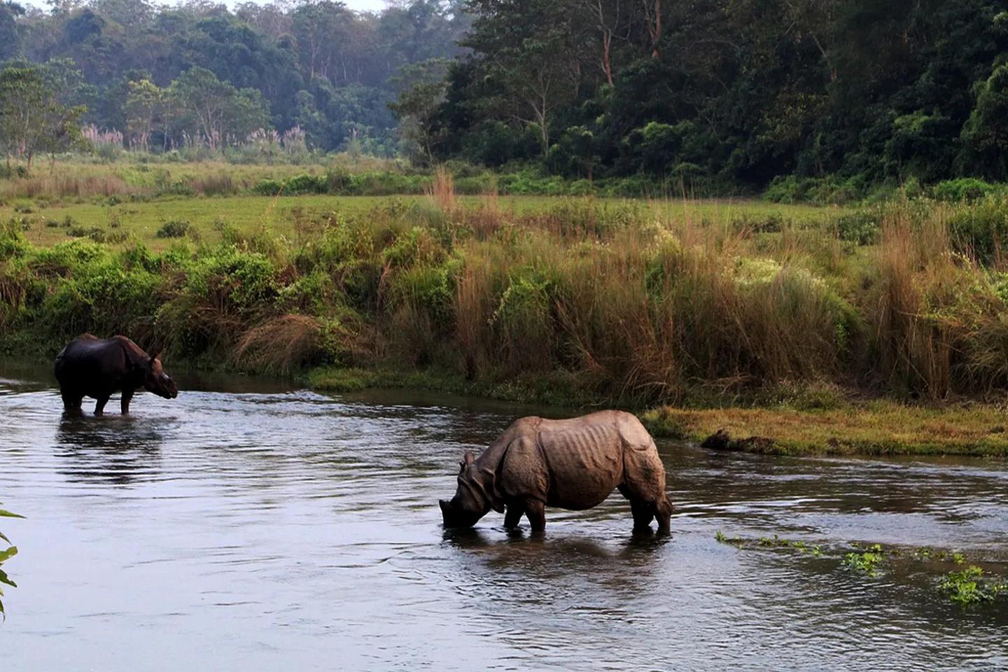 chitwan_orp3jj